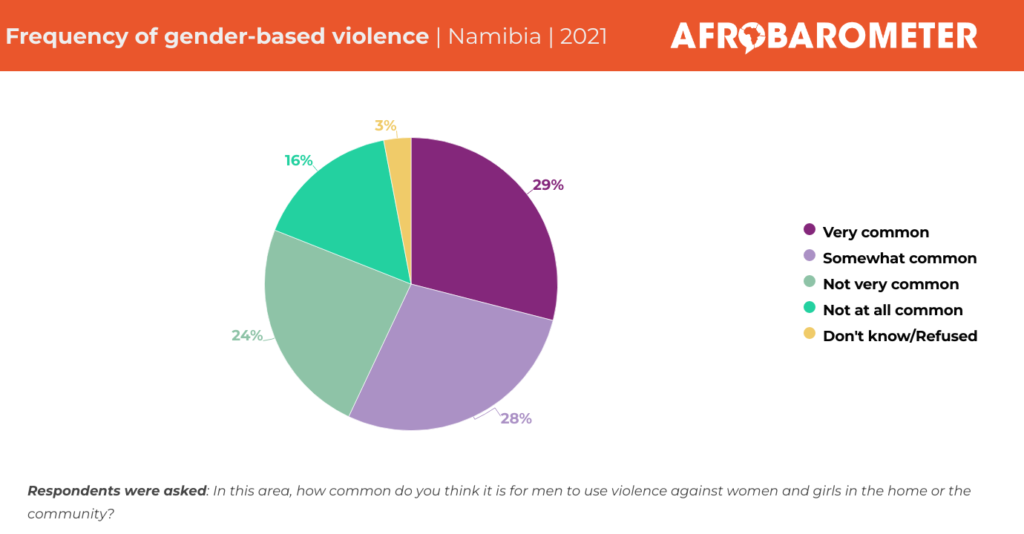 AD513: Amid progress on women’s rights, Namibians see gender-based violence as priority issue to address